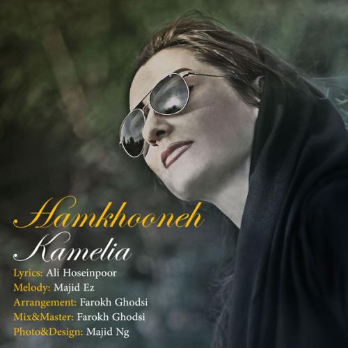 دانلود آهنگ هم خونه دانلود آهنگ هم خونه